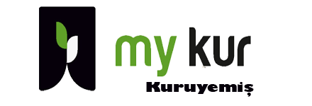 Muykur Kuruyemiş